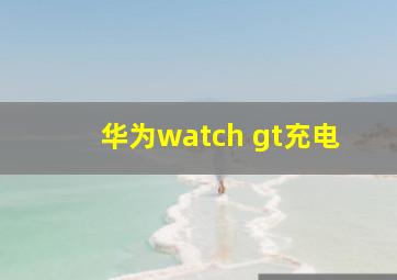 华为watch gt充电